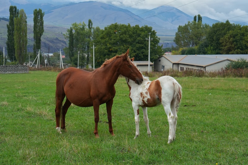 Parent and child sharing quiet moment, low demand parenting