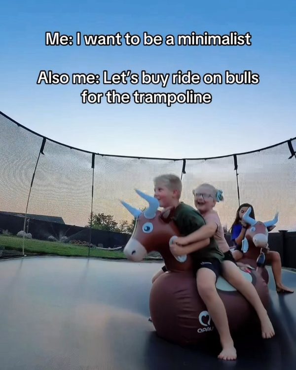 Bouncy dinosaur